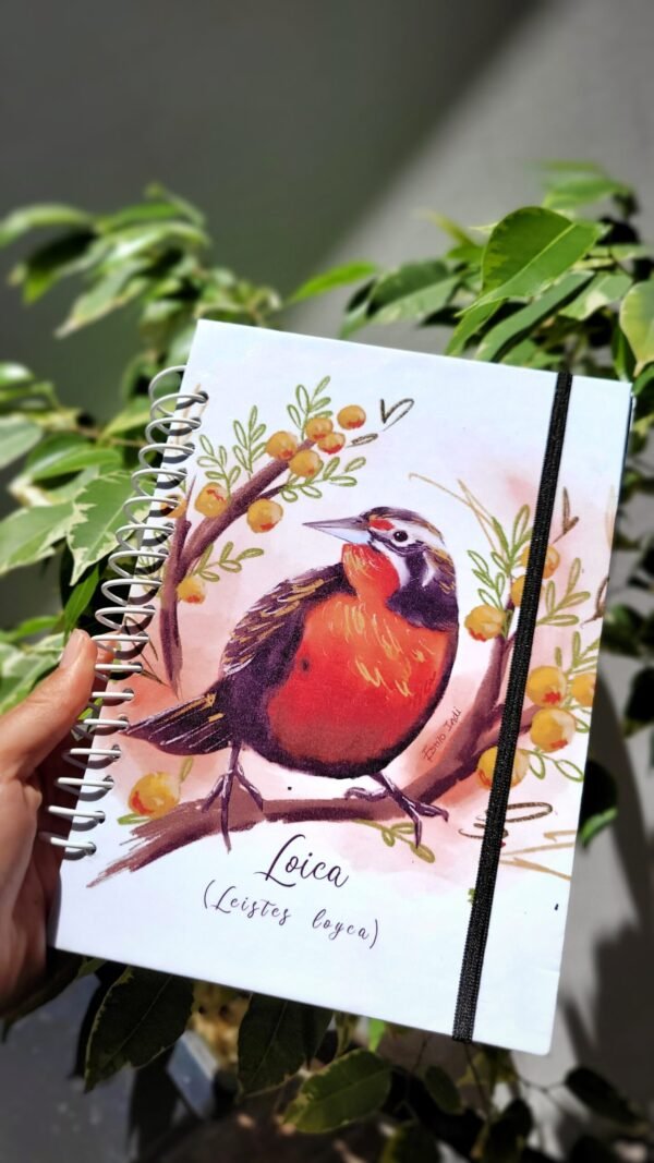 Cuaderno ilustrado con loica (Leistes loyca) sobre rama con hojas verdes y frutos amarillos, estilo acuarela sobre fondo rosa suave.