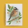 Agenda tapa dura ilustrada con chingolo (Zonotrichia capensis) sobre rama con hojas verdes y frutos naranjas, en estilo acuarela.