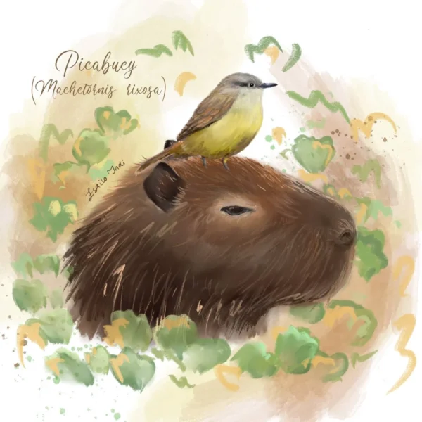 Cuadros con motivo de agendas