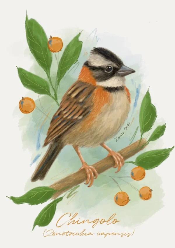 Cuadros con motivo de agendas