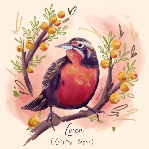 Cuadros con motivo de agendas