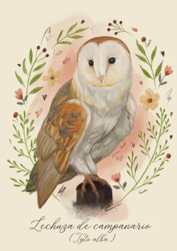 Cuadros con motivo de agendas